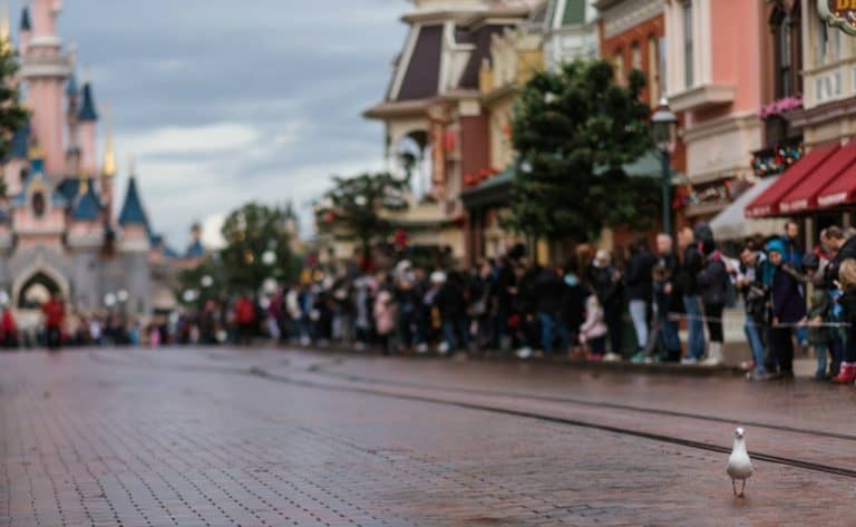 Disneyland While Plus Size
