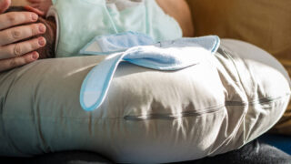 Mom Approved Plus Size Nursing Pillows