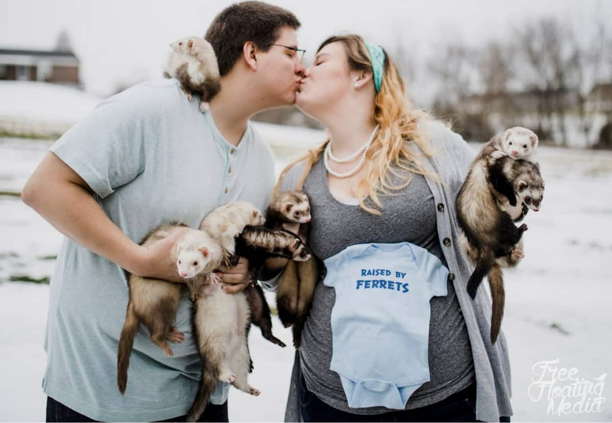 ferret maternity photo shoot