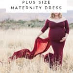 Fitted Plus Size Maternity Dress
