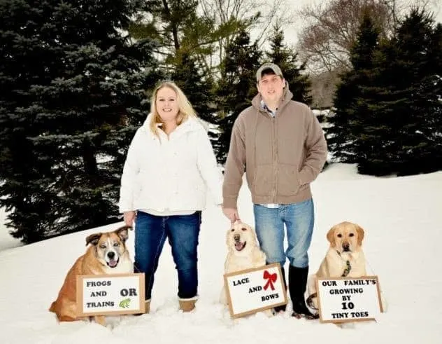 plus size couple with dogs announcing their pregnancy