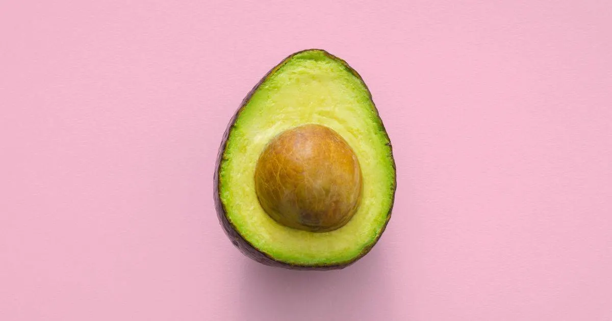 pregnant avocado