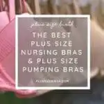 plus size nursing bras
