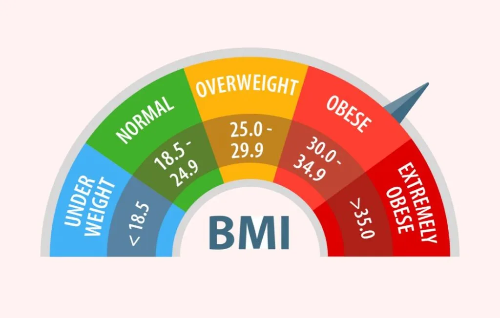 plus size pregnancy BMI chart