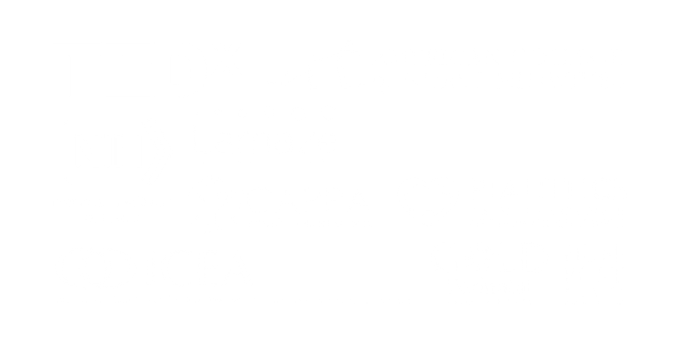 Plus Size Birth Speaking Features Logos
