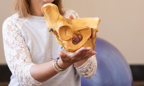Size-friendly childbirth educator holding a pelvis